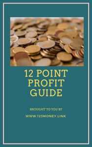 12 Point Profit Guide